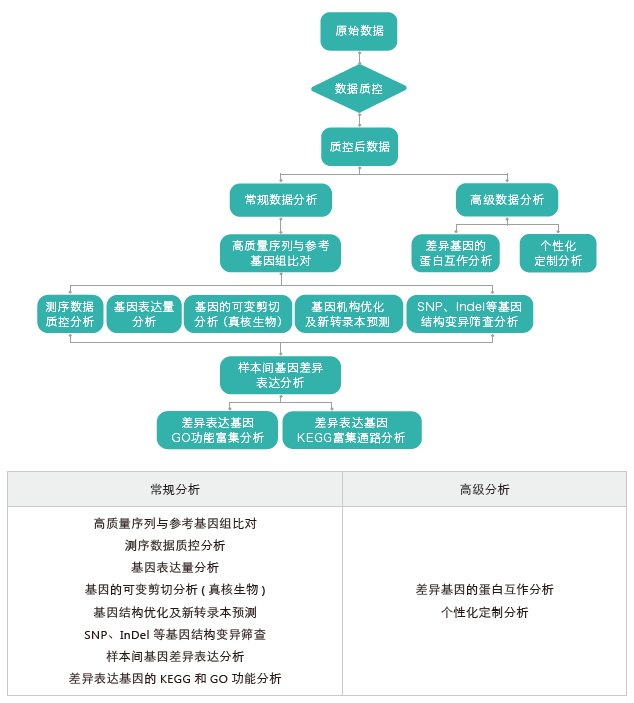 转录组测序-生信分析流程（有参）-腾博会官网基因