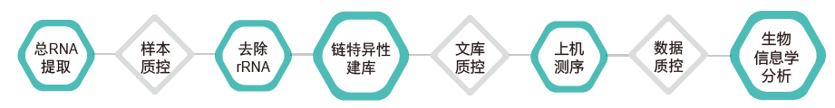 长链非编码RNA（lncRNA）测序-技术路线-腾博会官网基因