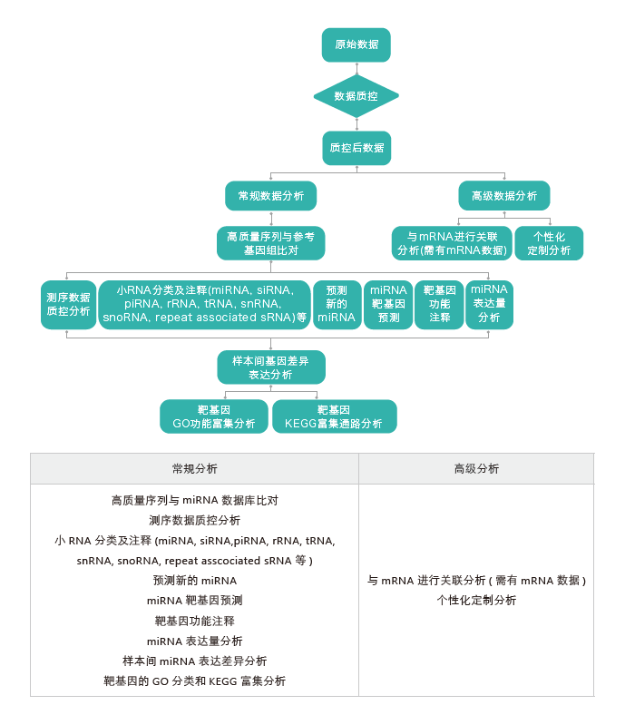 小RNA（small RNA）测序-生信分析流程-腾博会官网基因