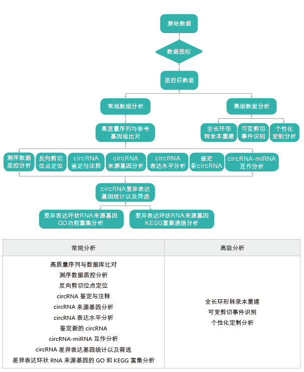 环状RNA（circRNA）测序-生信分析流程-腾博会官网基因